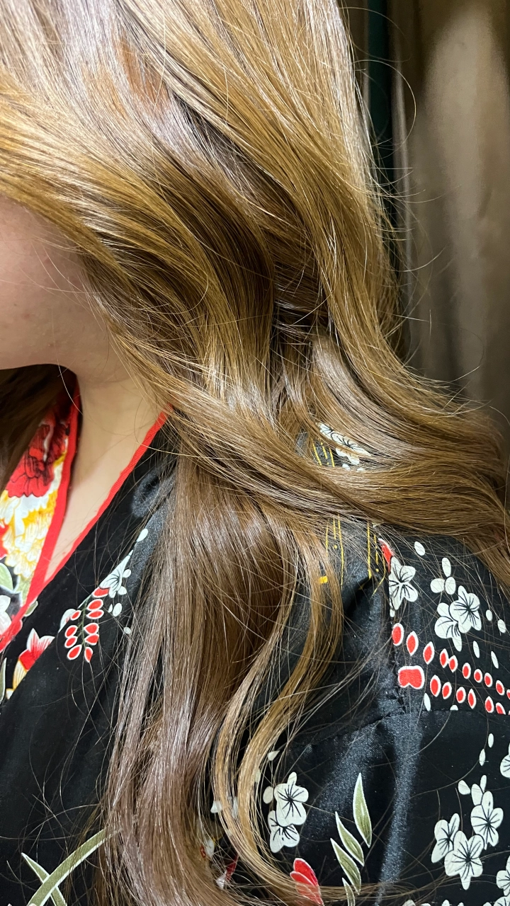 ひまわりのイメージパネル